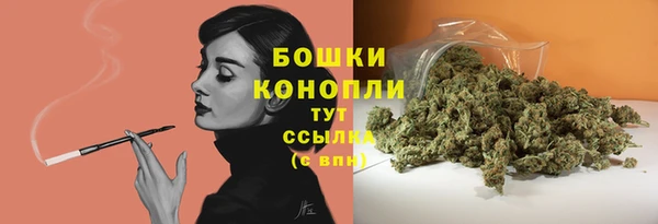 не бодяженный Горно-Алтайск