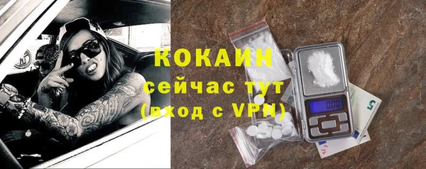 не бодяженный Горно-Алтайск
