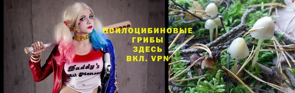 ALPHA-PVP Горняк