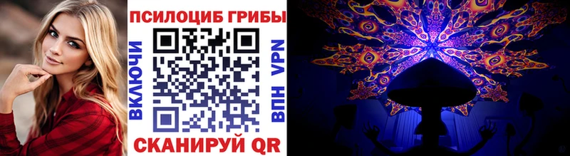 Галлюциногенные грибы Psilocybe  Купить  Верея 